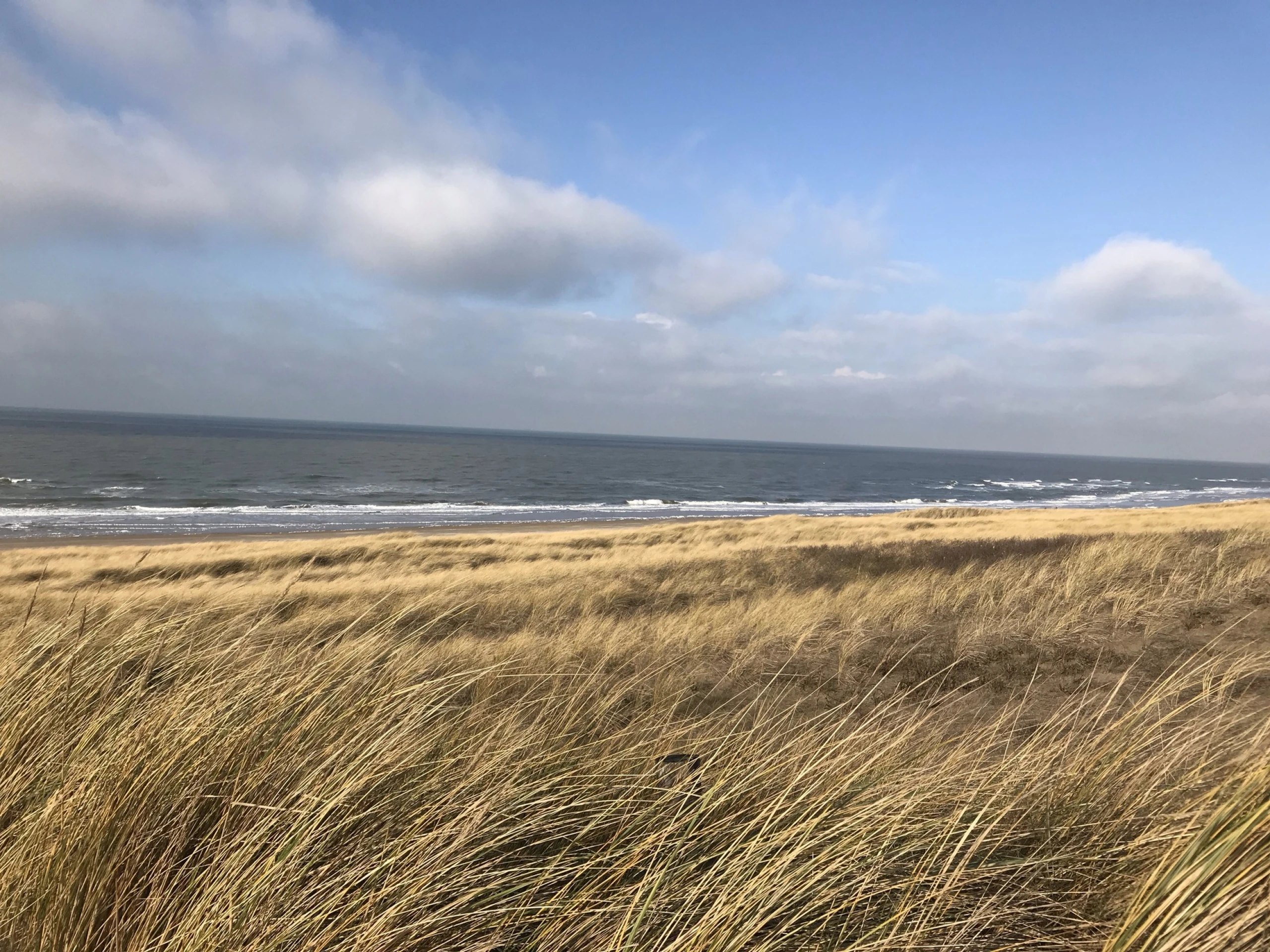 Beoordelingen